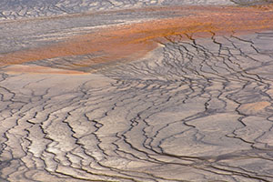 Yellowstone-land